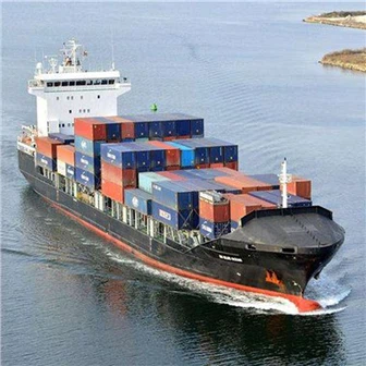 सीमा शुल्क निकासी सफल